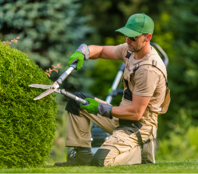 Professional landscaper trimming a shrub